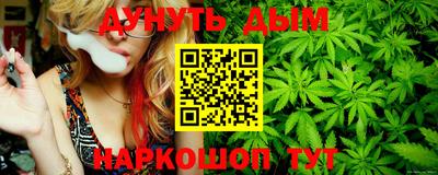 бошки Дмитров