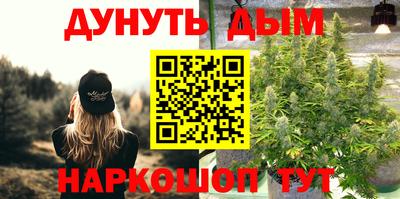 бошки Дмитров