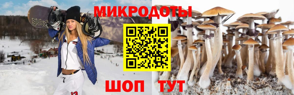 Галлюциногенные грибы Cubensis  Вход с VPN  Сорочинск 